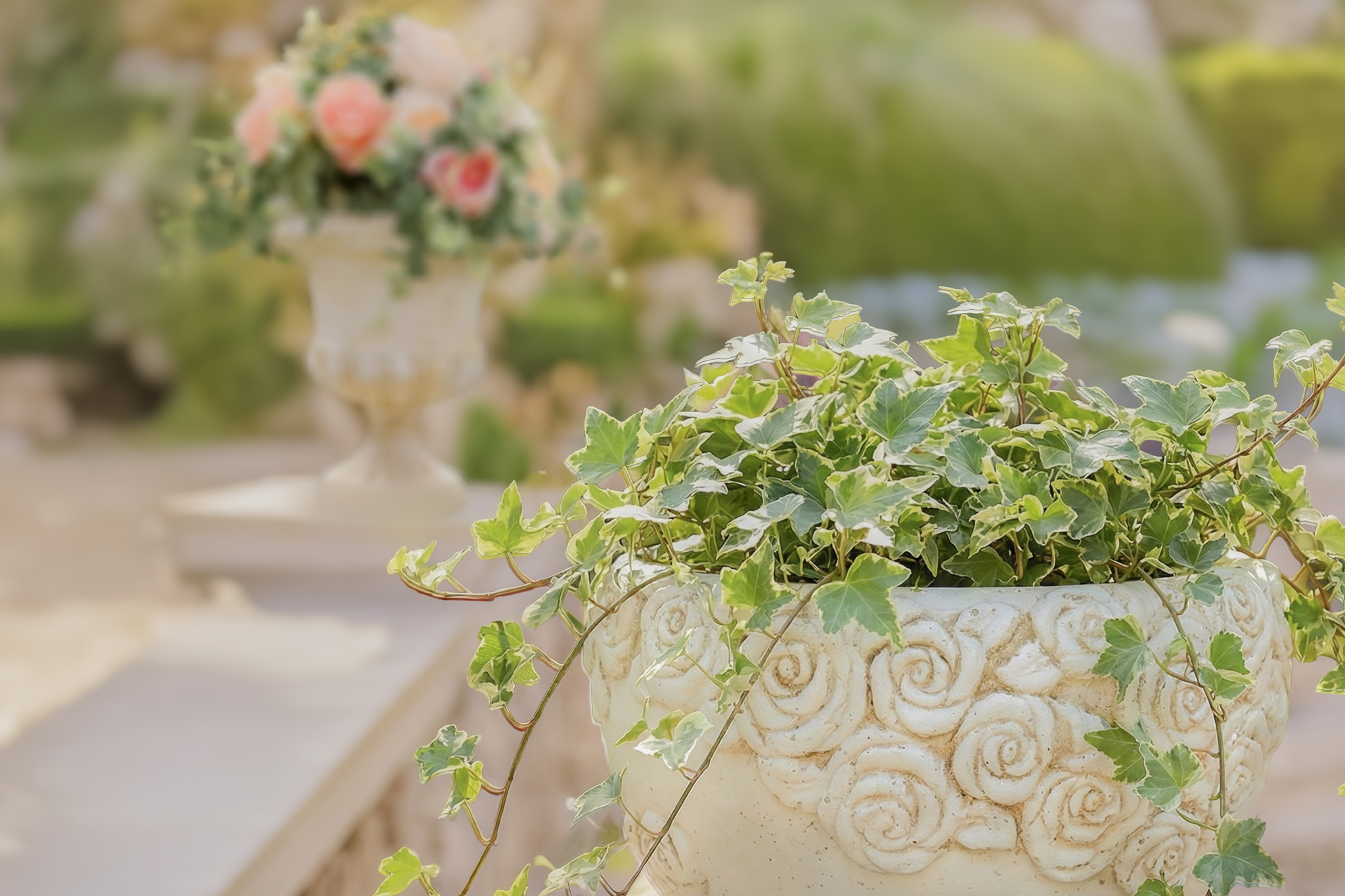 アンティーク 植木鉢