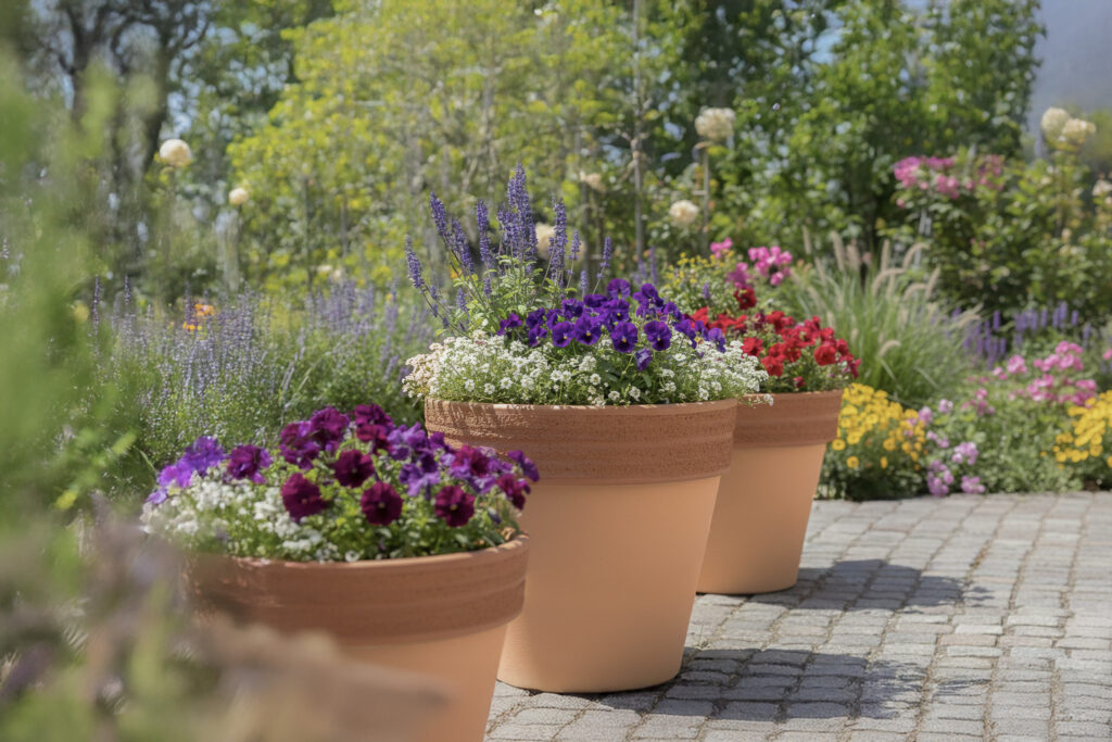 シャルカ　テラコッタ鉢　海外輸入