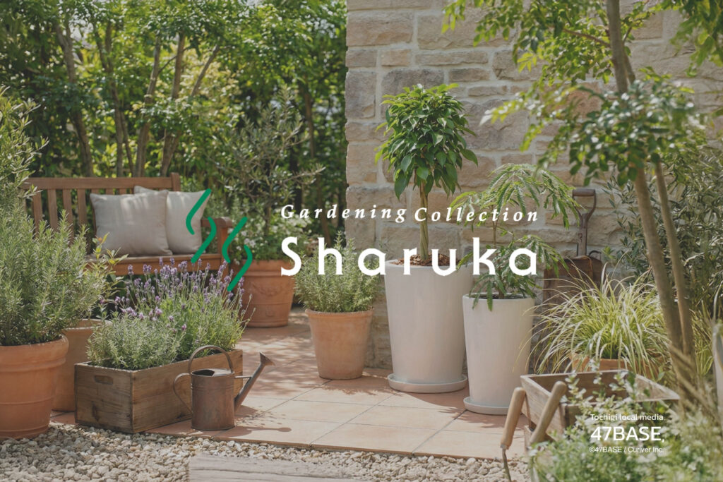 メディア掲載 4BASE