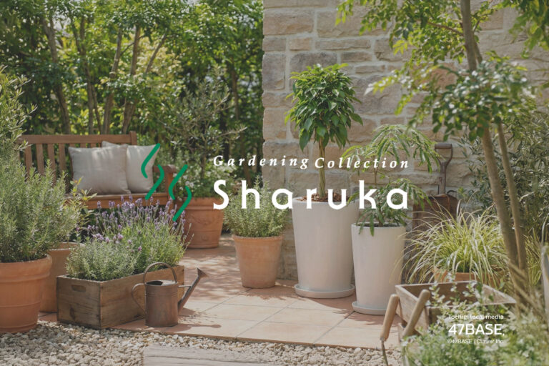 メディア掲載 4BASE