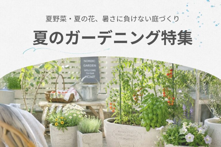暑さに負けない夏の庭作り｜夏野菜や夏の花におすすめの土・プランター・マルチング材