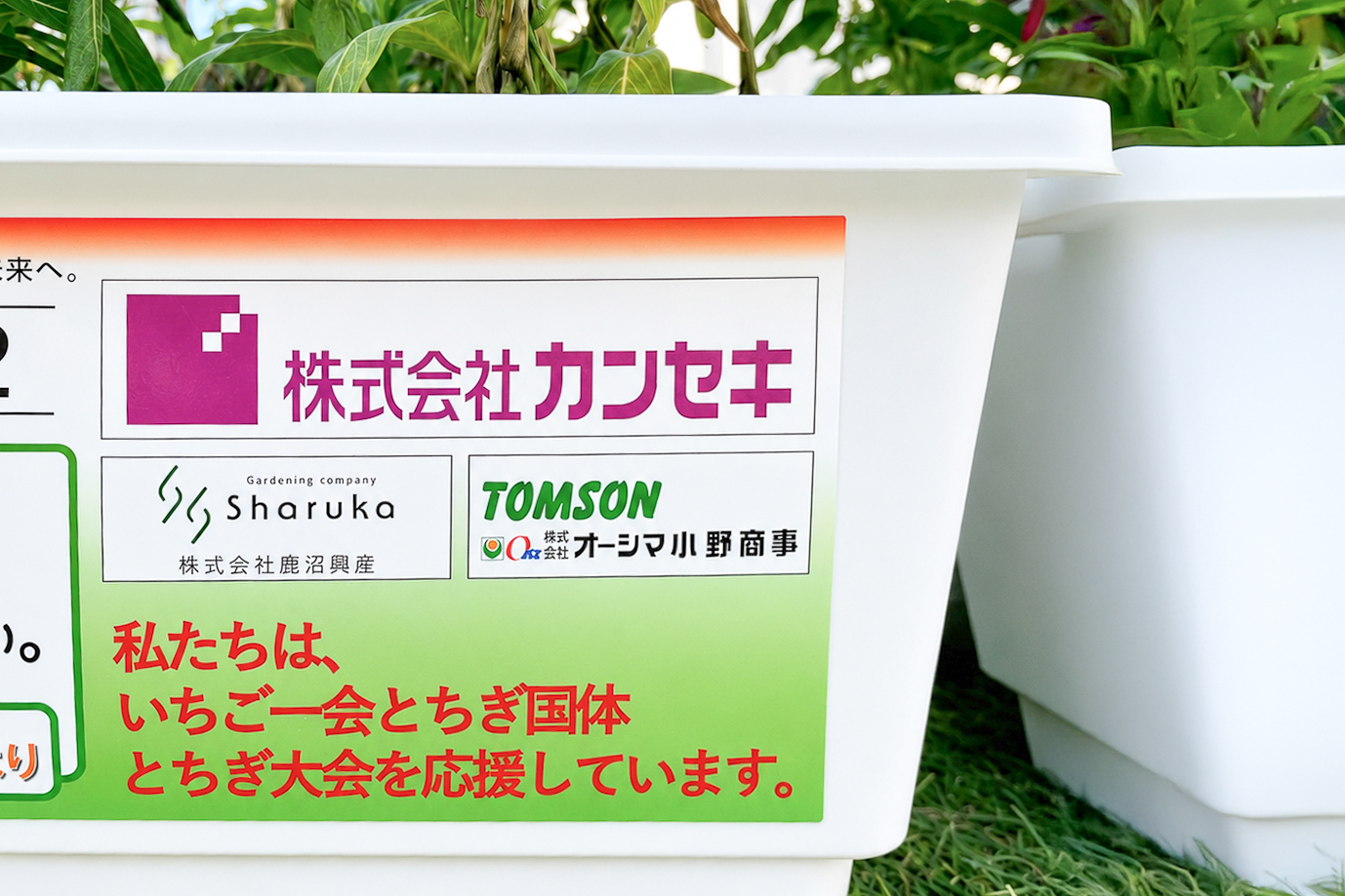 シャルカ いちご一会とちぎ国体協賛 プランター