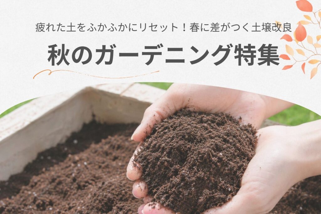 秋のガーデニングを楽しもう！植え付け前の土づくりとおすすめアイテム