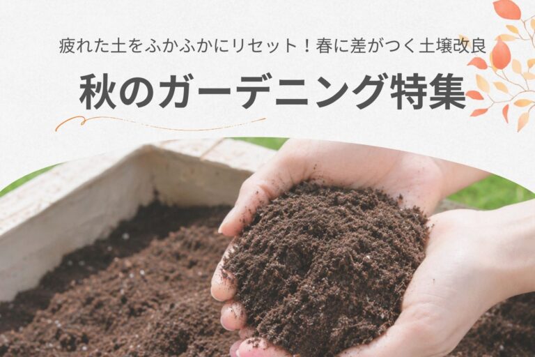 秋のガーデニングを楽しもう！植え付け前の土づくりとおすすめアイテム