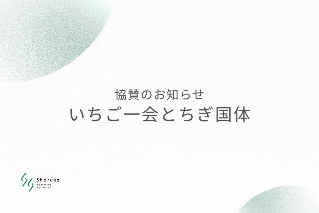 シャルカ　いちご一会とちぎ国体協賛